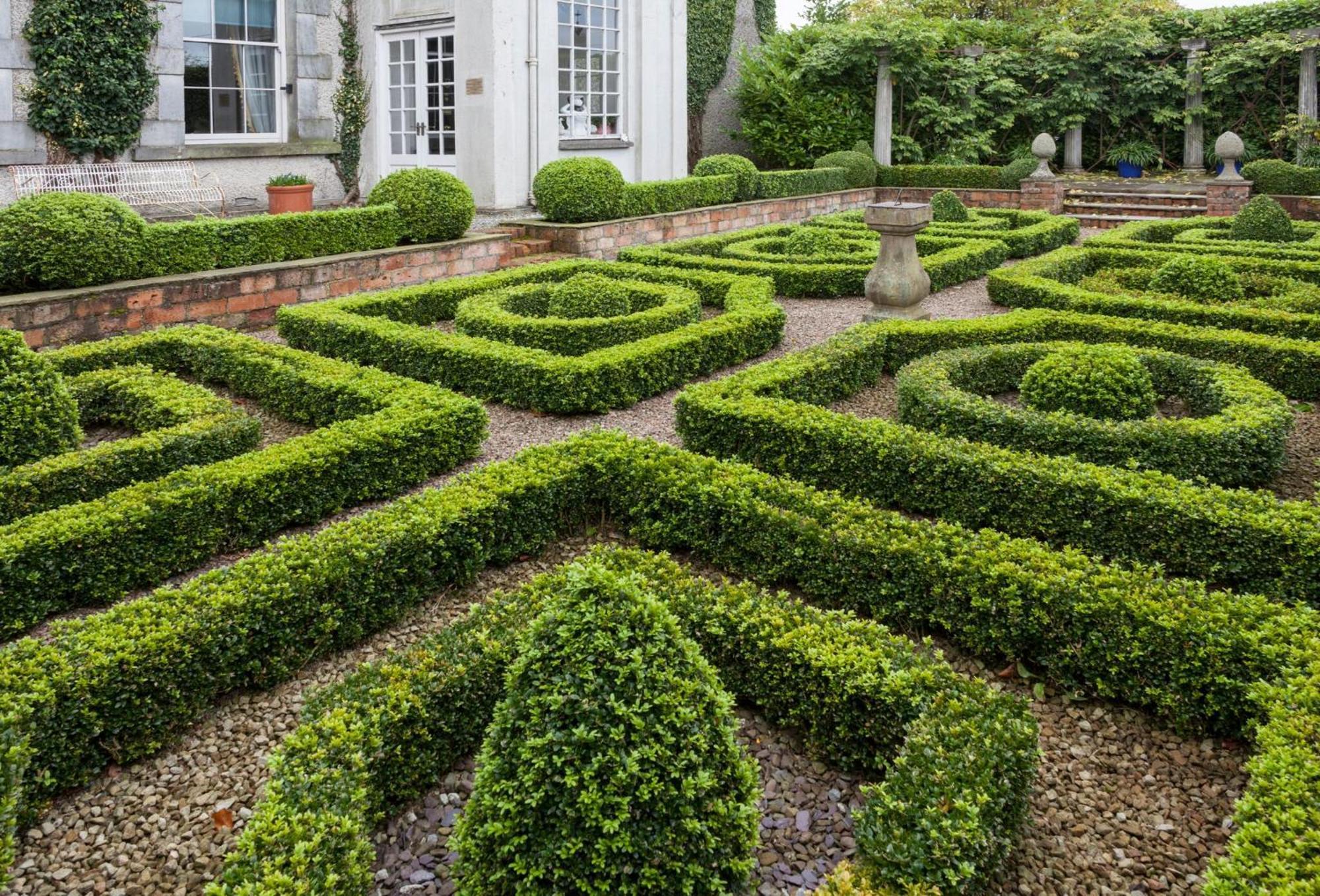 Collon House Bed & Breakfast Exterior photo
